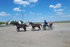 37020734_1405862246225013_5810284740745363456_n