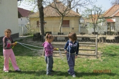 ovisok_2011-2012_406